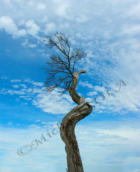 © Smike Photography by Michael Sola - All Rights Reserved